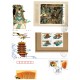 China - Lot 7 plicuri prima zi, 4 carti poștale maxime China - Lot 7 plicuri prima zi, 4 carti poștale maxime