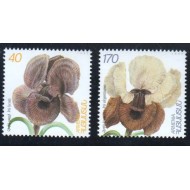 Armenia 1997 - Flori, flora, serie neuzata