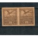 1920 - Ocupația românească in Debrețin (II) eseu 20F pereche neștampilata