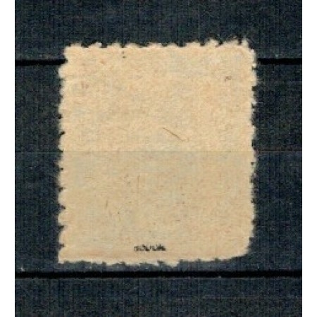 1920 - Ocupația românească in Debrețin (II) eseu 20F dantelat