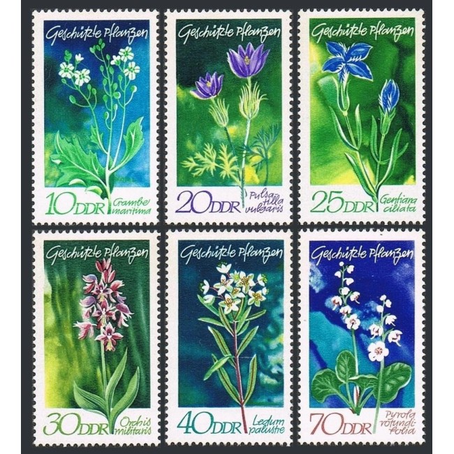 DDR 1970 - Flori, plante, flora, serie neuzata DDR 1970 - Flori, plante, flora, serie neuzata