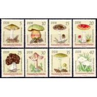 DDR 1974 - Ciuperci, serie neuzata