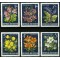 Austria 1966 - Flori, flora alpina, serie neuzata