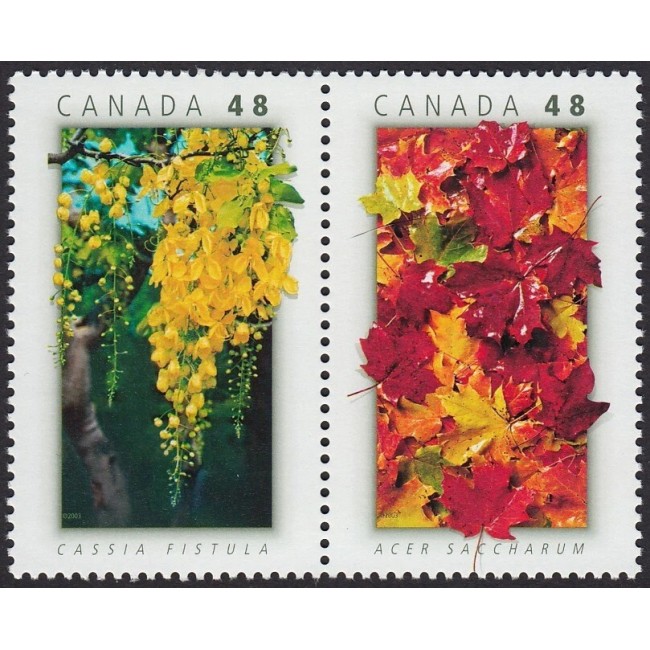 Canada 2003 - Copaci, flora, serie neuzata