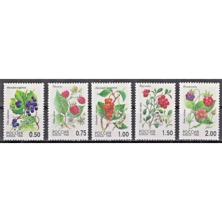 Rusia 1998 - Fructe de pădure, serie neuzata Rusia 1998 - Fructe de pădure, serie neuzata