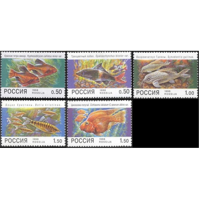 Rusia 1998 - Pești de acvariu, serie neuzata