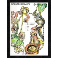 Somalia 2000 - Plante carnivore, colita neuzata