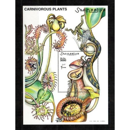 Somalia 2000 - Plante carnivore, colita neuzata Somalia 2000 - Plante carnivore, colita neuzata