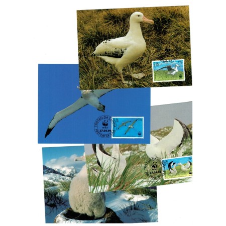 Tristan da Cunha 1999 - Păsări, albatros, fauna WWF, serie 4 carti poștale maxime Tristan da Cunha 1999 - Păsări, albatros, fauna WWF, serie 4 carti poștale maxime