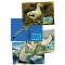 Tristan da Cunha 1999 - Păsări, albatros, fauna WWF, serie 4 carti poștale maxime