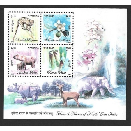 India 2005 - Fauna, flora, colita neuzata