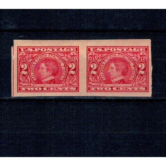 SUA 1909 - Expo Alaska-Yukon-Pacific in Seattle, pereche nedantelata nestampilata