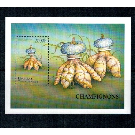 Centrafricaine Republic 1999 - Ciuperci, colita neuzata Centrafricaine Republic 1999 - Ciuperci, colita neuzata
