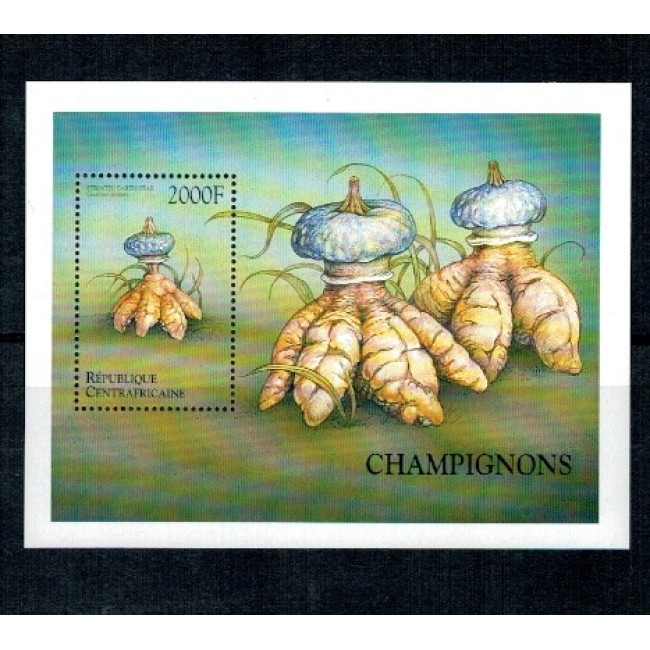 Centrafricaine Republic 1999 - Ciuperci, colita neuzata Centrafricaine Republic 1999 - Ciuperci, colita neuzata