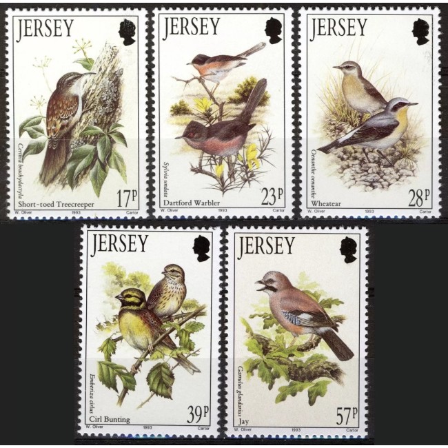 Jersey 1993 - Păsări migratoare, fauna, serie neuzata Jersey 1993 - Păsări migratoare, fauna, serie neuzata