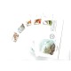SUA - Lot 5 plicuri prima zi, tematica fauna, animale SUA - Lot 5 plicuri prima zi, tematica fauna, animale