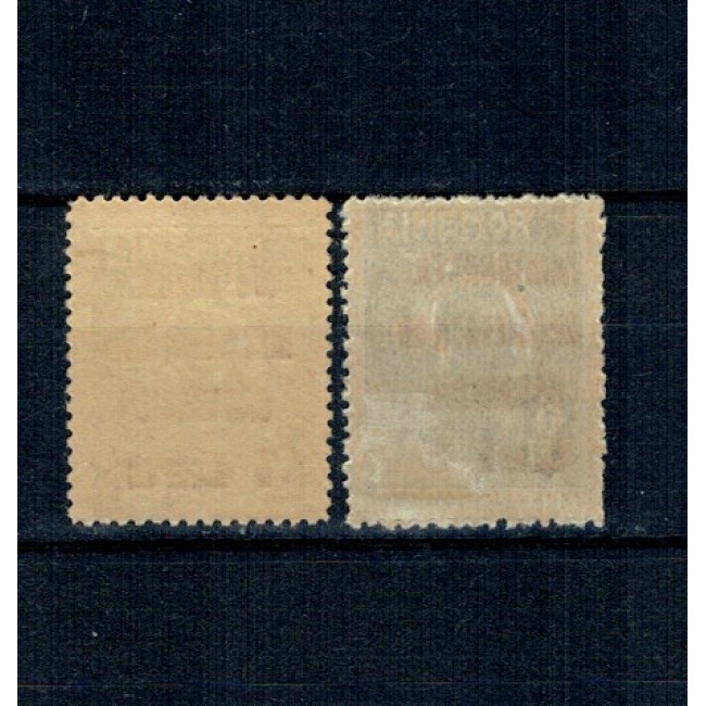 1923 - Ajutorarea Înfometaților Basarabiei, supratipar pe 6B, 6L, nestampilate