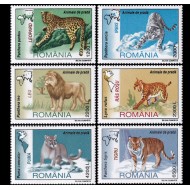 2000 - Animale de prada, serie neuzata