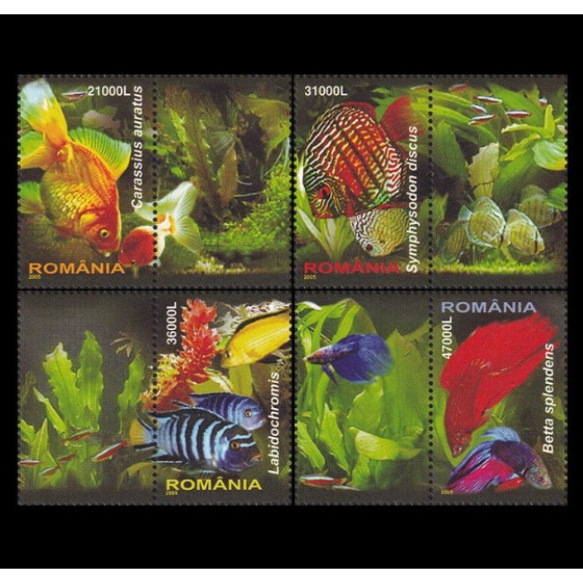 2005 - Pesti exotici, serie neuzata cu viniete 2005 - Pesti exotici, serie neuzata cu viniete