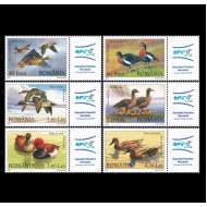 2007 - Rate si gâște sălbatice, serie neuzata cu tab