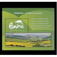 2010 - Romania - Gradina Carpaților, colita neuzata