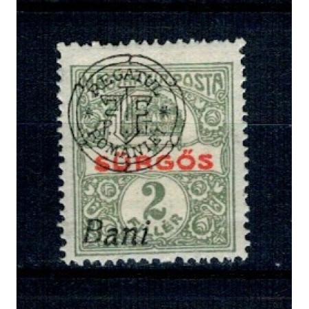 1919 - Emisiunea Oradea, marca expres, eroare