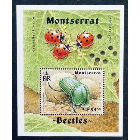 Montserrat 1994 - Insecte, colita neuzata