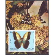 Sharjah 1972 - Insecte, fluturi, colita nedantelata neuzata