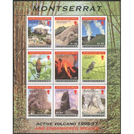 Montserrat 1997 - Vulcani activi, fauna, minicoala neuzata