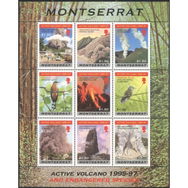 Montserrat 1997 - Vulcani activi, fauna, minicoala neuzata