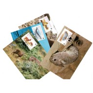 Chile 1984 - Fauna WWF, serie carti poștale maxime