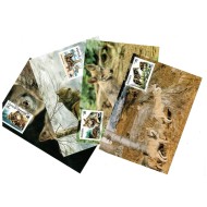 Polonia 1985 - Fauna WWF, lupi, serie carti poștale maxime