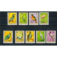 Burundi 1979 - Păsări, serie fără Posta Aeriana, neuzata