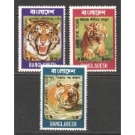 Bangladesh 1974 - Tigrul bengalez, fauna, serie neuzata