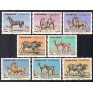 Yemen Nord 1964 - Animale, fauna, serie neuzata