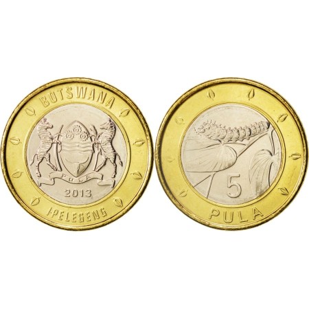 Botswana 2013 - 5 pula UNC Botswana 2013 - 5 pula UNC