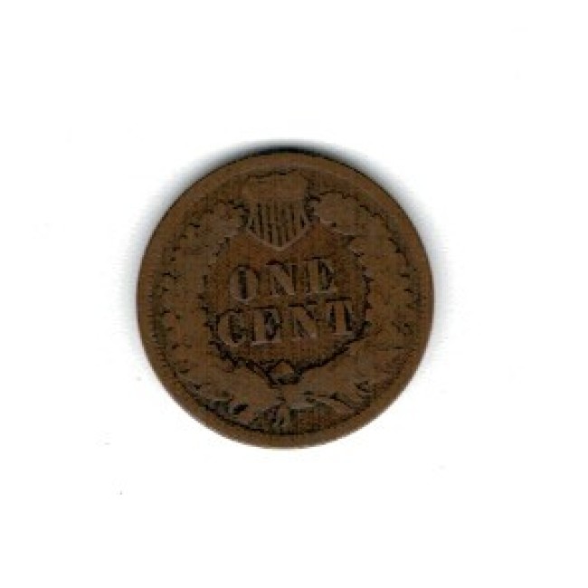 SUA 1905 - 1 cent Indian Head, circulata