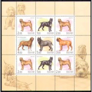 Rusia 2002 - Câini, minicoala neuzata