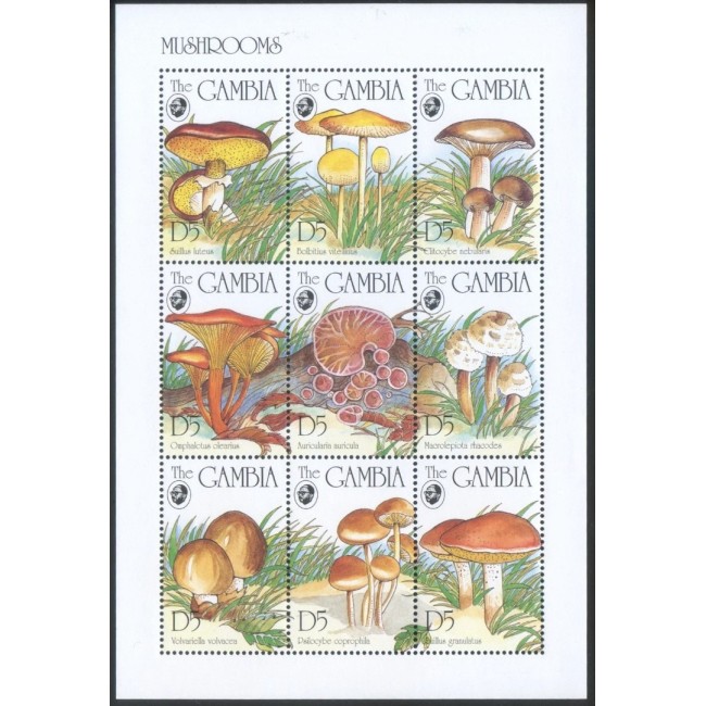 Gambia 1994 - Ciuperci, minicoala neuzata