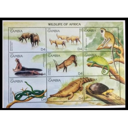 Gambia 1996 - Fauna, animale, minicoala neuzata