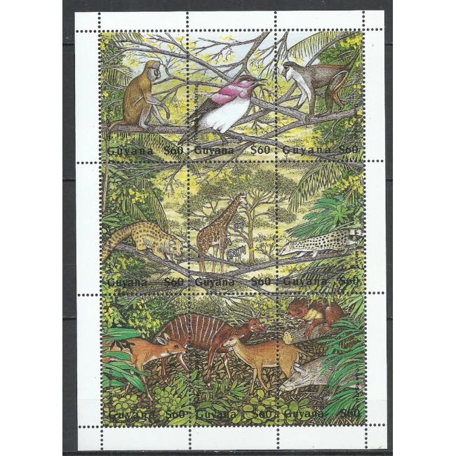 Guyana 1995 - Fauna africana, animale, minicoala neuzata