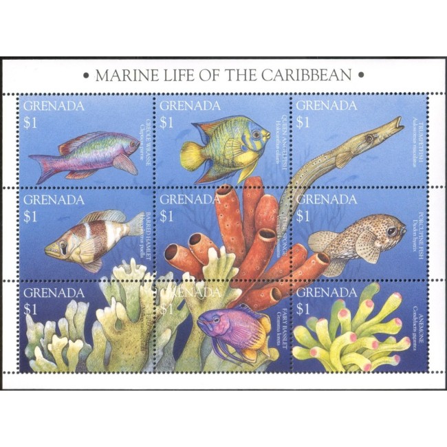 Grenada 1995 - Fauna marina de la Caraibe, minicoala neuzata