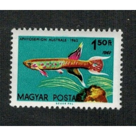 Ungaria 1962 - Pești de acvariu, eroarea Mi 1827 I neuzat