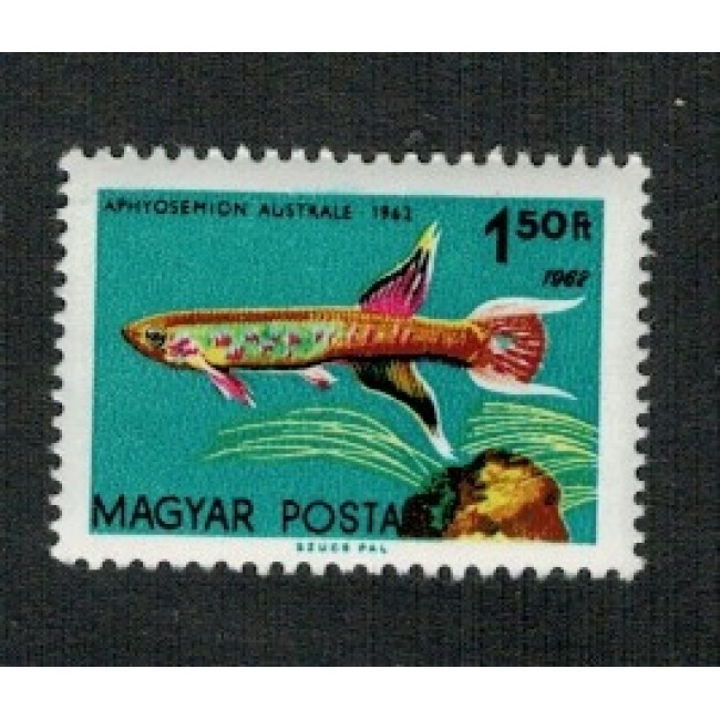 Ungaria 1962 - Pești de acvariu, eroarea Mi 1827 I neuzat