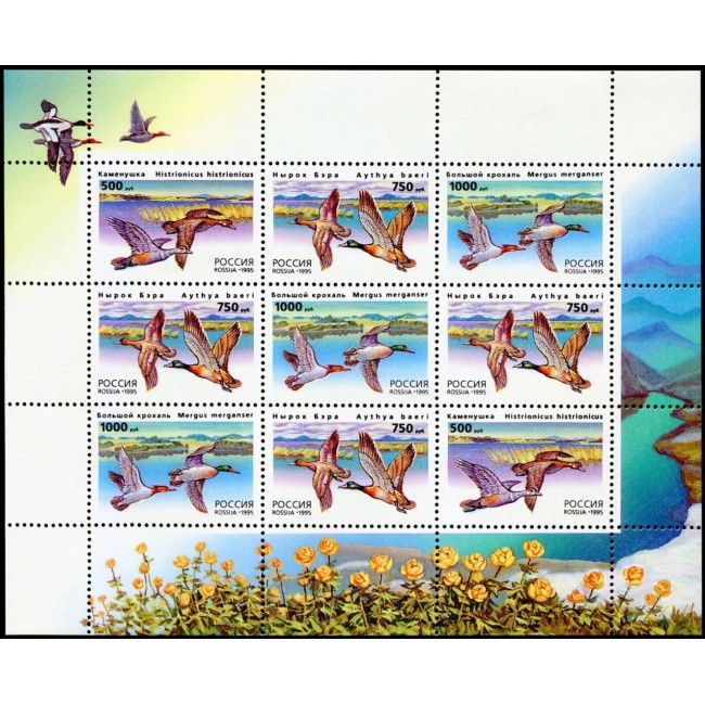 Rusia 1995 - Păsări, rate, minicoala neuzata