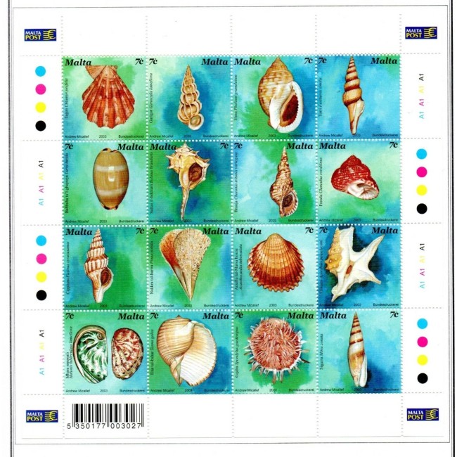 Malta 2003 - Cochilii, fauna, minicoala neuzata