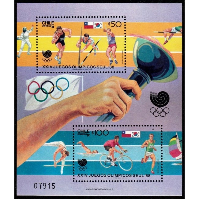 Chile 1988 - Jocurile Olimpice, sport, colita neuzata
