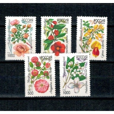 Rusia 1997 - Flori, serie neuzata
