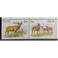 Rusia 1999 - Fauna, serie neuzata