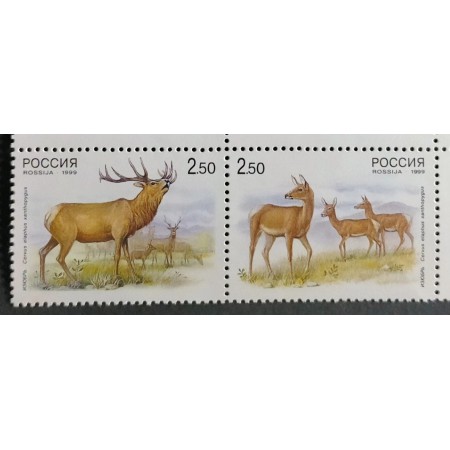Rusia 1999 - Fauna, serie neuzata